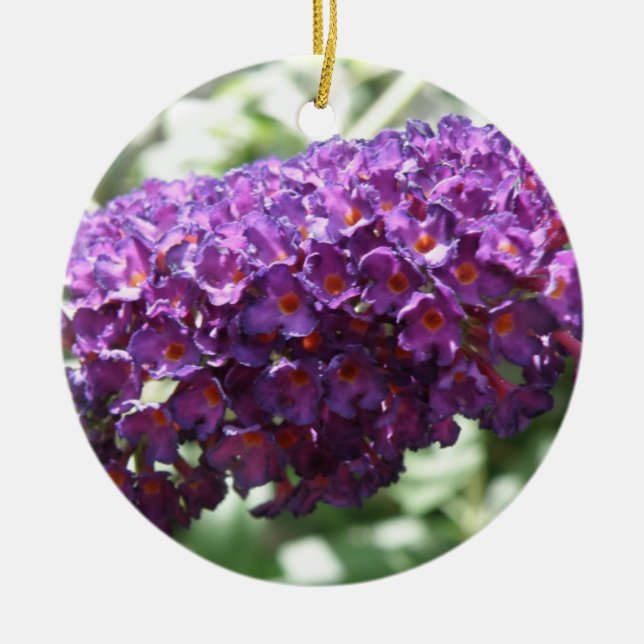 Beautiful Purple Buddleia Flowers Ornaments (Front)
