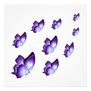 Beautiful Purple Butterflies         Triptych Canv Photo Print