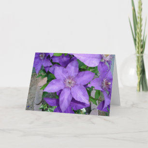 Beautiful Purple Flower Blank Greeting Card