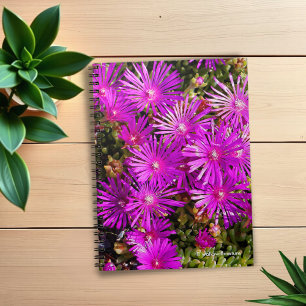 Beautiful Purple Iceplants Spiral Notebook