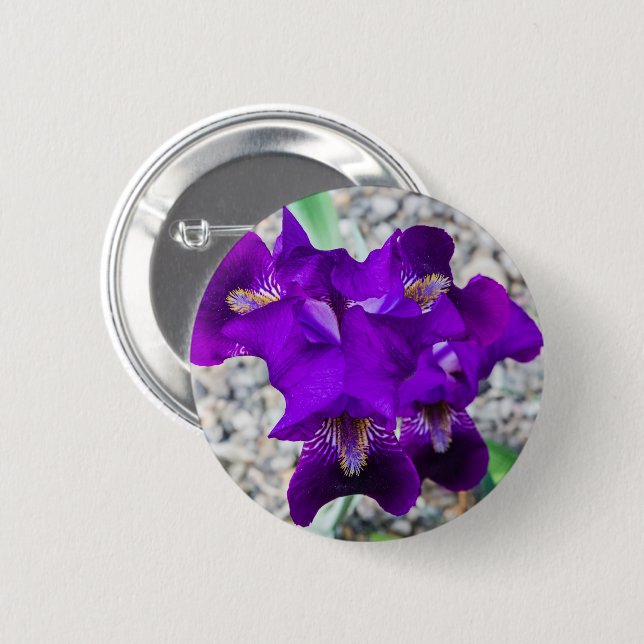 Beautiful purple iris 6 cm round badge (Front & Back)