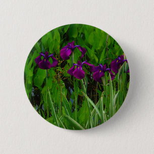 Beautiful Purple Iris 6 Cm Round Badge