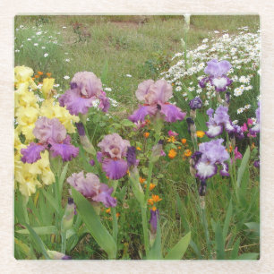 Beautiful Purple Iris Flower floral Photo Glass Coaster