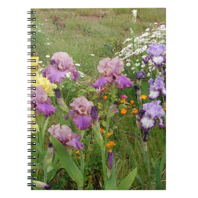 Beautiful Purple Iris Flower floral Photo Notebook (Front)