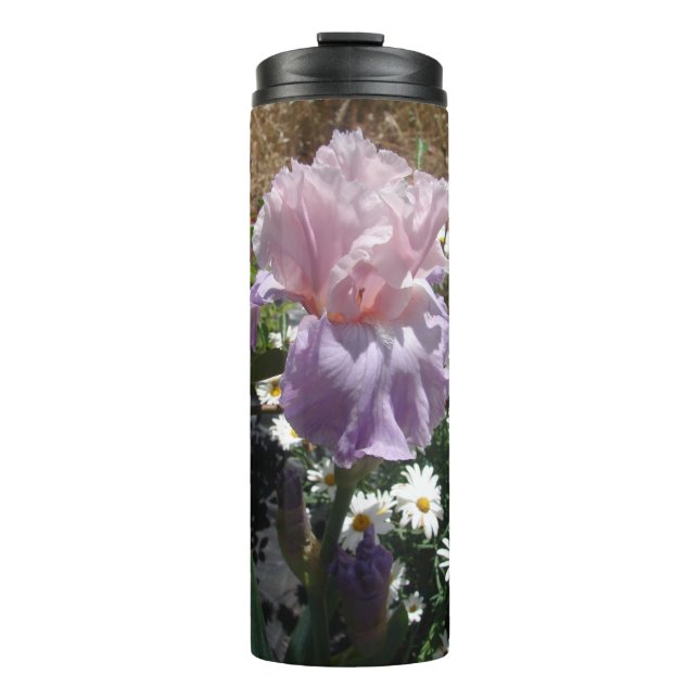 Beautiful Purple Iris Flower floral Photo Thermal Tumbler (Front)
