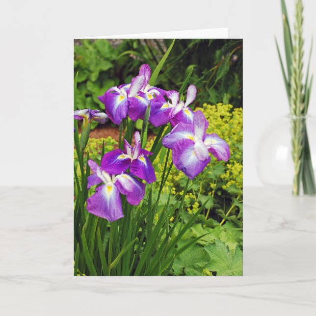 Beautiful purple iris flowers print greeting card (Front)