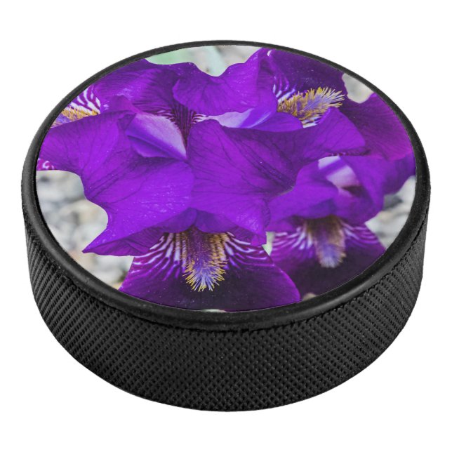 Beautiful purple iris hockey puck (3/4)