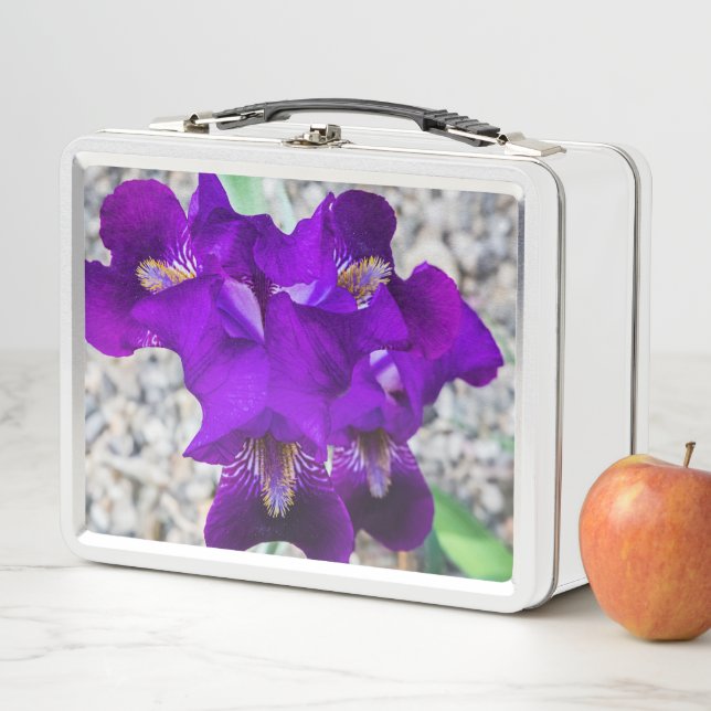 Beautiful purple iris metal lunch box (In Situ)