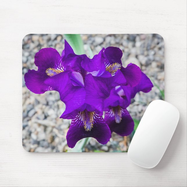 Beautiful purple iris mouse pad (With Mouse)