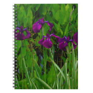 Beautiful Purple Iris Notebook