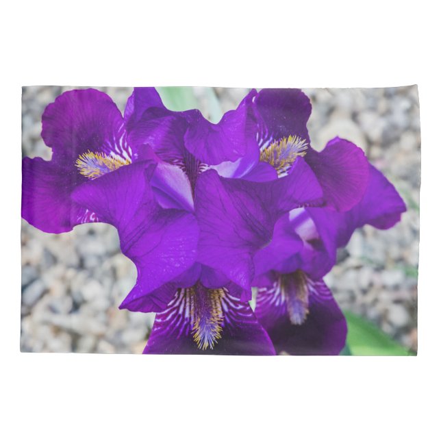 Beautiful purple iris pillowcase (Back)