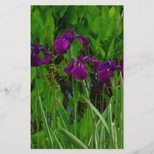 Beautiful Purple Iris Stationery