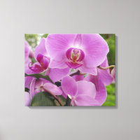 Beautiful purple orchid in full bloom.