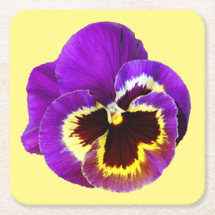 Beautiful purple pansy square paper coaster