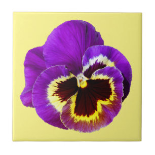 Beautiful purple pansy tile