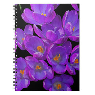 Beautiful Purple Spring Crocuses Floral Notebook