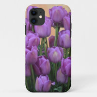 Beautiful purple spring tulips