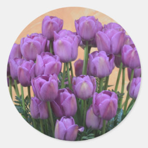 Beautiful purple spring tulips classic round sticker