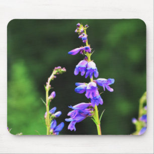 Beautiful Purple Wildflowers Blooming in Canada Mouse Pad