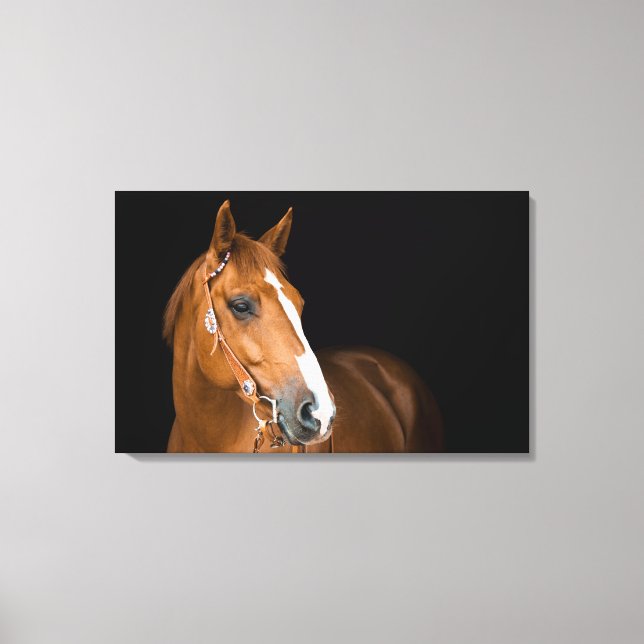Beautiful Quarter Horse Photo Canvas Print (Front)