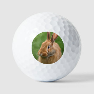 Beautiful Rabbit Golf Balls