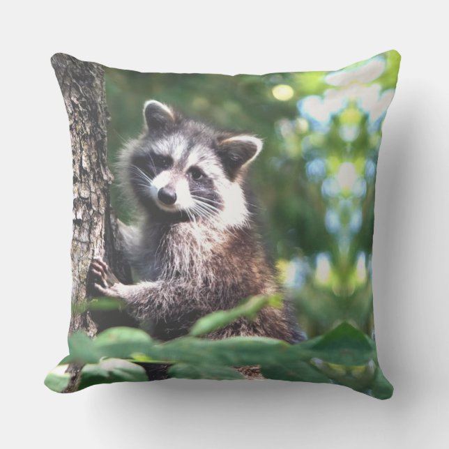 Beautiful racoon on the jungle cushion (Front)