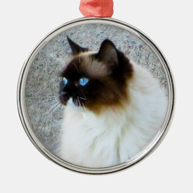 Beautiful Ragdoll Birman Himalayan Cat Metal Tree Decoration (Front)