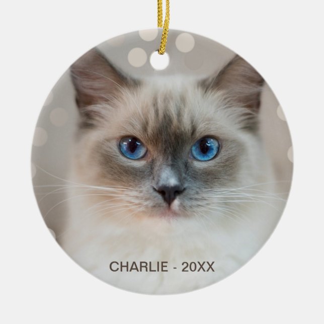 Beautiful Ragdoll Cat & Editable Name Ceramic Tree Decoration (Front)