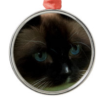 Beautiful Ragdoll Cat Ornament