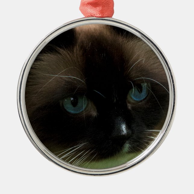 Beautiful Ragdoll Cat Ornament (Front)