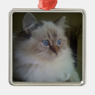 Beautiful Ragdoll Hymalayan Cat Gazing into Winter Metal Tree Decoration