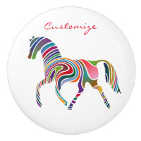 Beautiful Rainbow Colour Horse Thunder_Cove