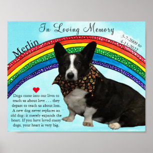 Beautiful Rainbow Pet Memorial Poster