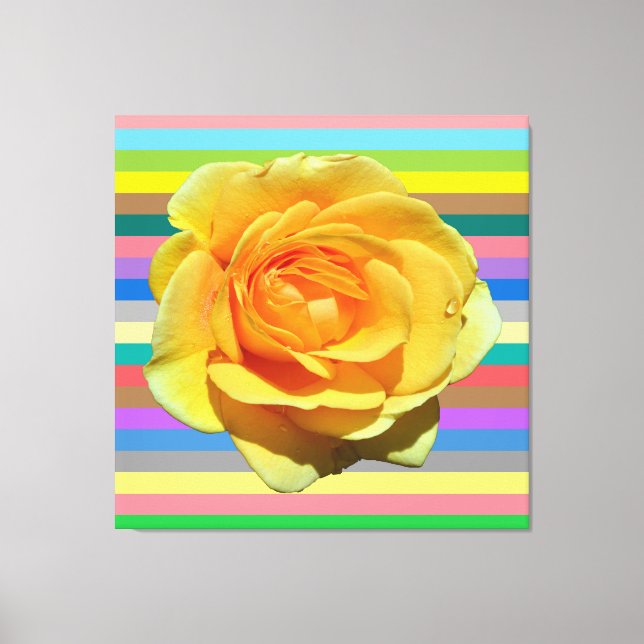 Beautiful rainbow rose canvas print (Front)