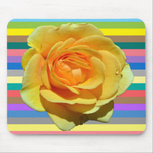 Beautiful rainbow rose mouse pad