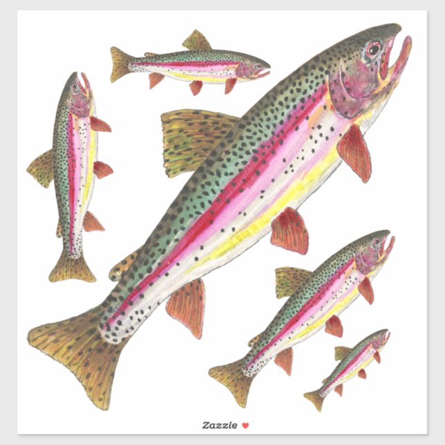 Beautiful Rainbow Trout = 5 Images on the Same (Sheet)