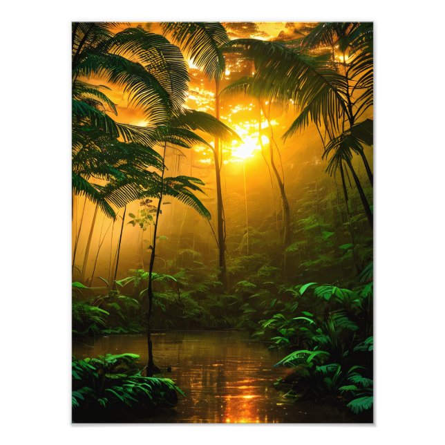 Beautiful rainforest with sunset photo print (Front)
