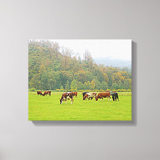 Beautiful ranch, cows & green pasture, farm scene canvas print (Front)