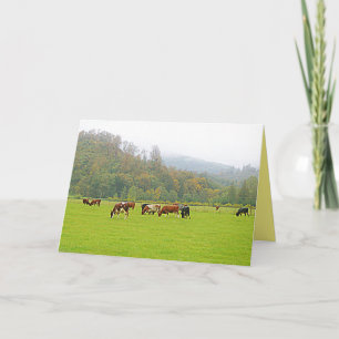 Beautiful ranch, cows & green pasture, farm scene card