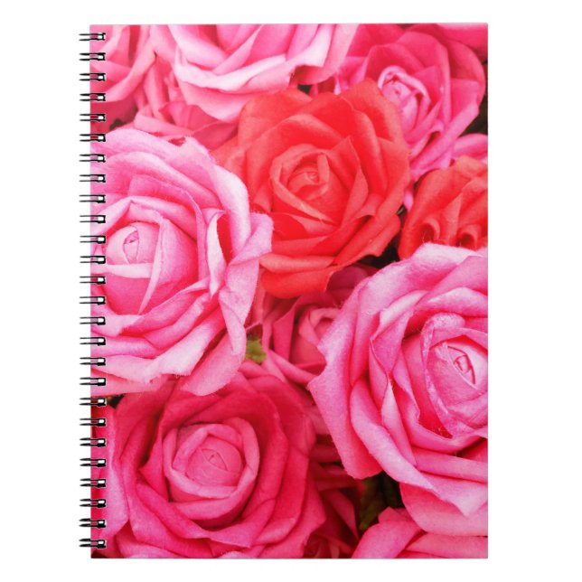 Beautiful red and pink roses notebook (Front)