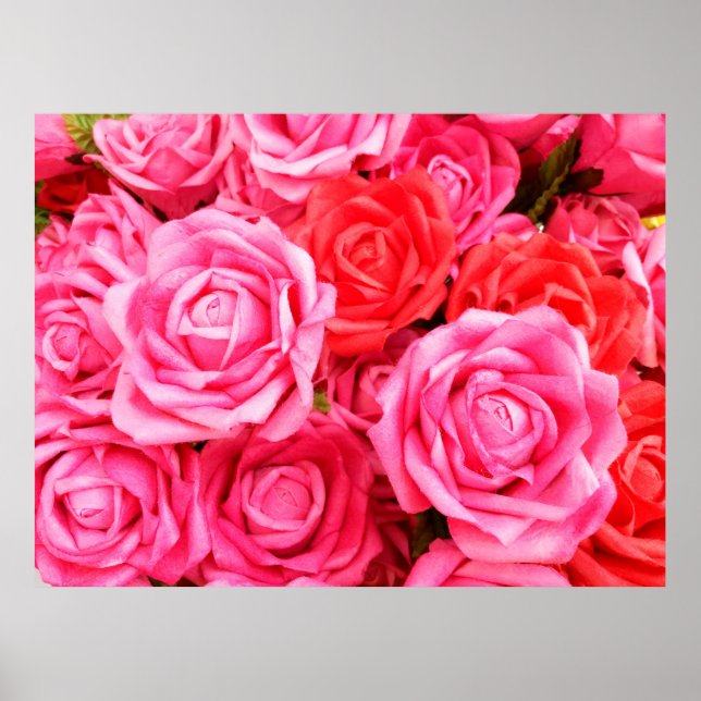Beautiful red and pink roses poster (Front)