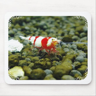 Beautiful Red Bee Shrimp Gift shop Mouse Pad