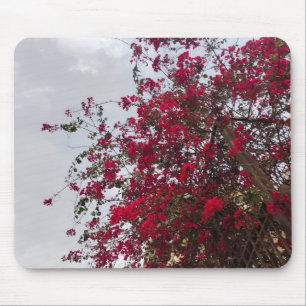 Beautiful red Bougainvillea Flowers & Cloudy Sky  Mouse Pad