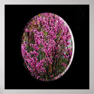 Beautiful Red Bud tree..... Poster