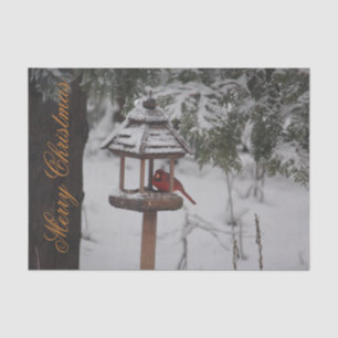 Beautiful Red Cardinal Christmas Tissue Paper