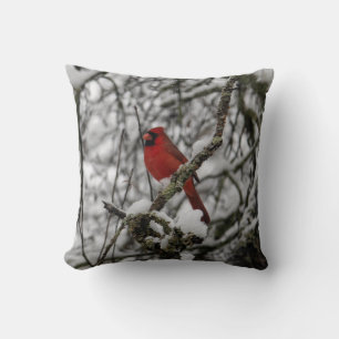 Beautiful Red Cardinal in a Snow Filled Tree Cushion