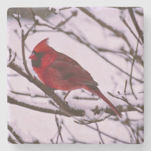 Beautiful Red Cardinal in a Snow Filled Tree Stone Coaster