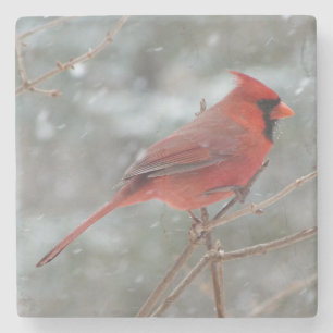 Beautiful Red Cardinal Waiting out the Snow Stone Coaster