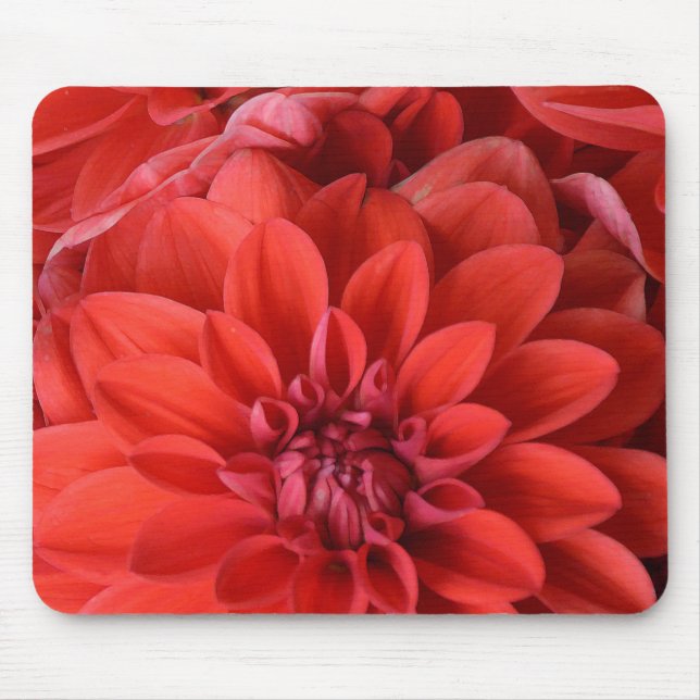 Beautiful red dahlia flowers mouse pad (Front)