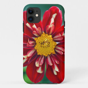 Beautiful red dahlia print phone case